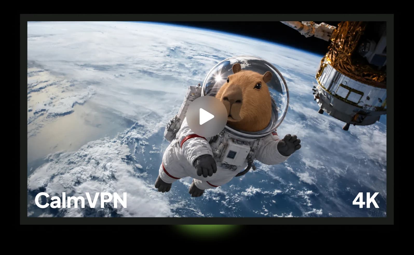 宇宙空間のカピバラ宇宙飛行士を映したCalm VPNの動画プレビュー